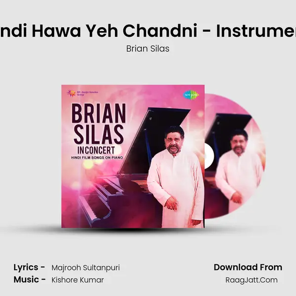 Thandi Hawa Yeh Chandni - Instrumental mp3 song