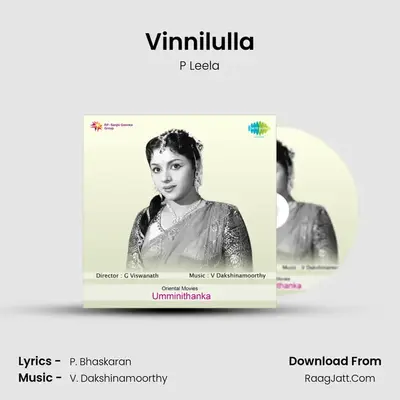 Vinnilulla MP3 Song by P Leela Cover