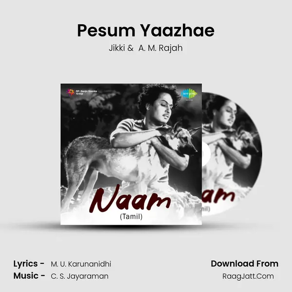 Pesum Yaazhae MP3 Song by Jikki Cover