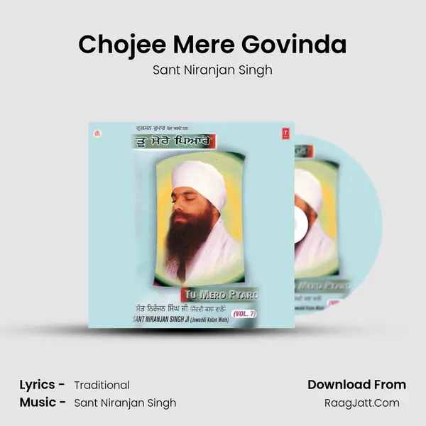 Chojee Mere Govinda MP3 Song by Sant Niranjan Singh Cover