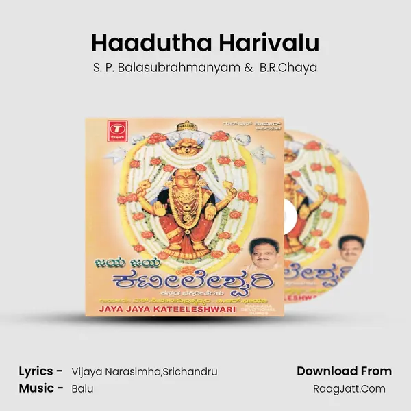 Haadutha Harivalu MP3 Song by S. P. Balasubrahmanyam Cover