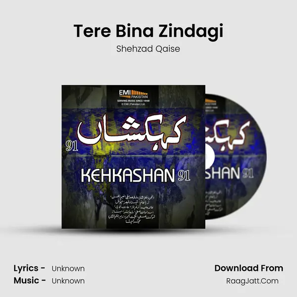 Tere Bina Zindagi MP3 Song by Shehzad Qaise Cover