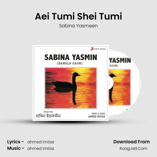 Aei Tumi Shei Tumi MP3 Song by Sabina Yasmeen Cover