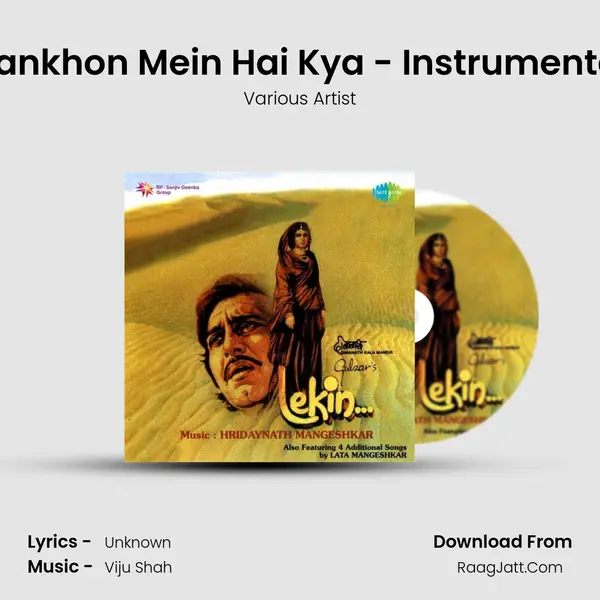Aankhon Mein Hai Kya - Instrumental MP3 Song by Various Artist Cover