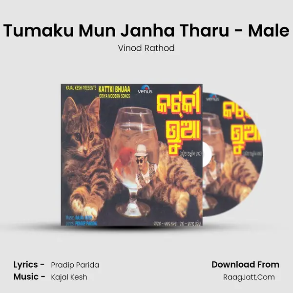 Tumaku Mun Janha Tharu - Male MP3 Song by Vinod Rathod Cover