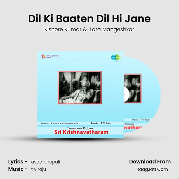 Dil Ki Baaten Dil Hi Jane Cover