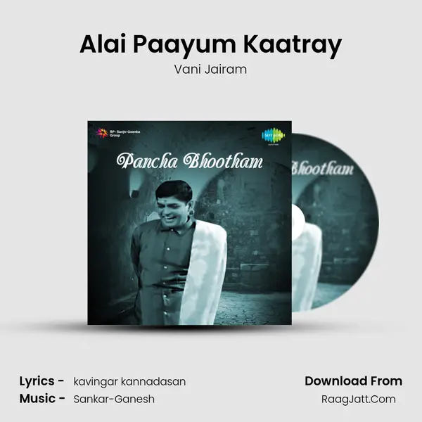 Alai Paayum Kaatray MP3 Song by Vani Jairam Cover