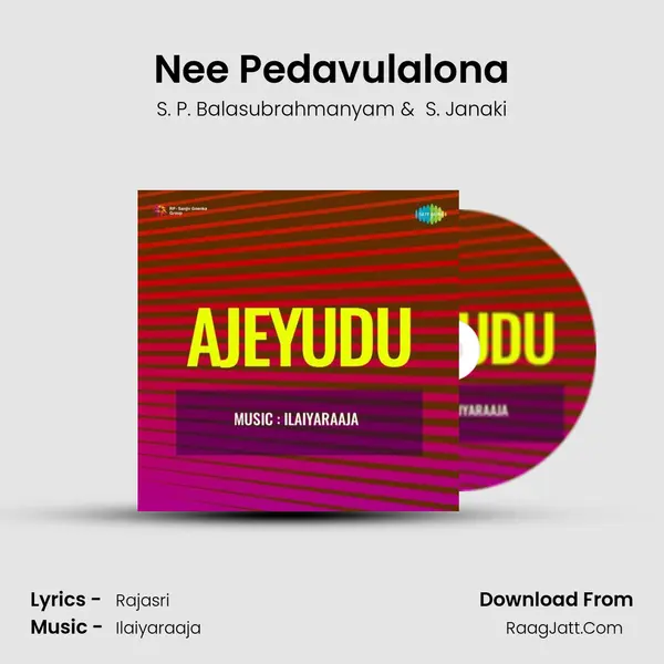 Nee Pedavulalona MP3 Song by S. P. Balasubrahmanyam Cover