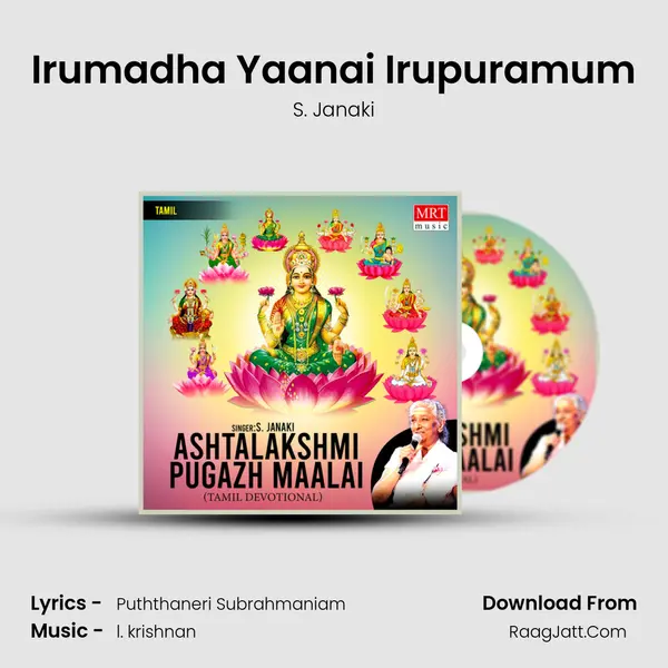 Irumadha Yaanai Irupuramum MP3 Song by S. Janaki Cover