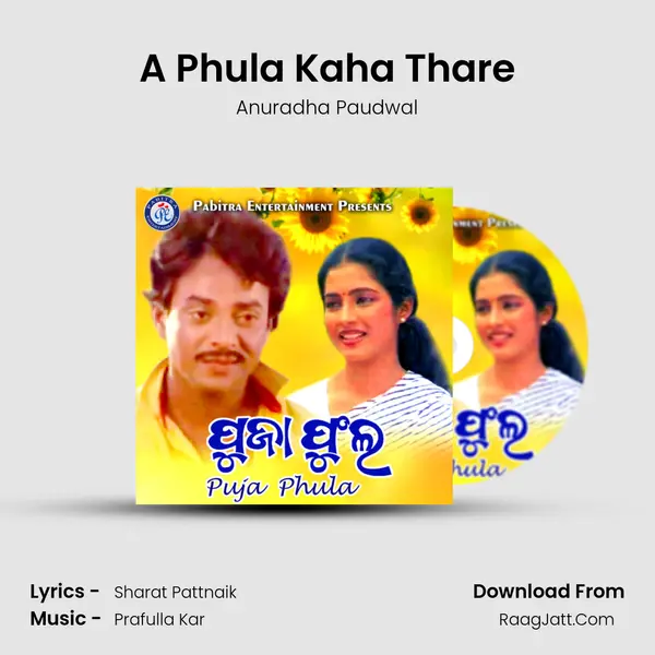 A Phula Kaha Thare MP3 Song by Anuradha Paudwal Cover