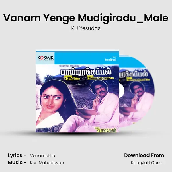 Vanam Yenge Mudigiradu_Male MP3 Song by K J Yesudas Cover