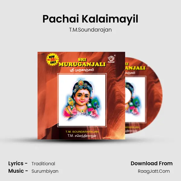 Pachai Kalaimayil MP3 Song by T.M.Soundarajan Cover