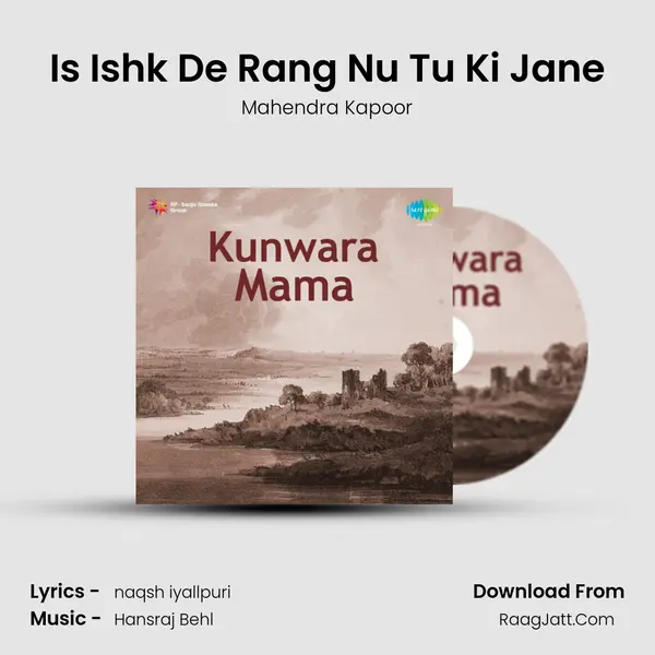 Is Ishk De Rang Nu Tu Ki Jane Cover
