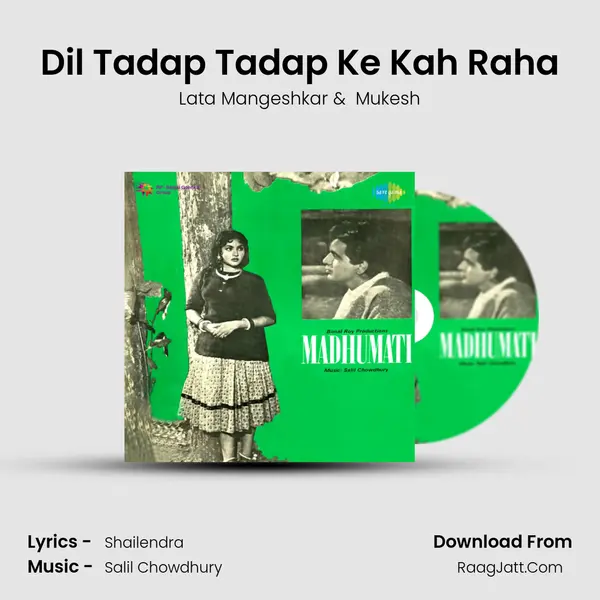 Dil Tadap Tadap Ke Kah Raha Cover