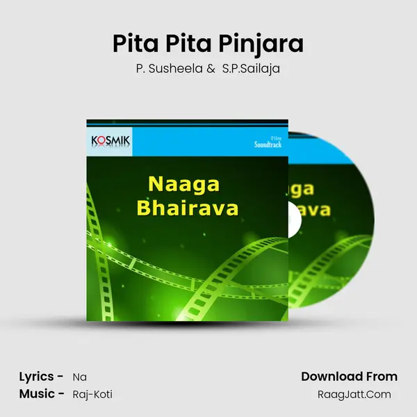 Pita Pita Pinjara MP3 Song by P. Susheela Cover