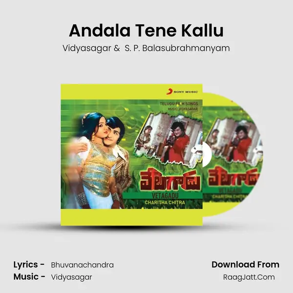 Andala Tene Kallu MP3 Song by Vidyasagar Cover