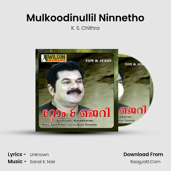 Mulkoodinullil Ninnetho MP3 Song by K. S. Chithra Cover