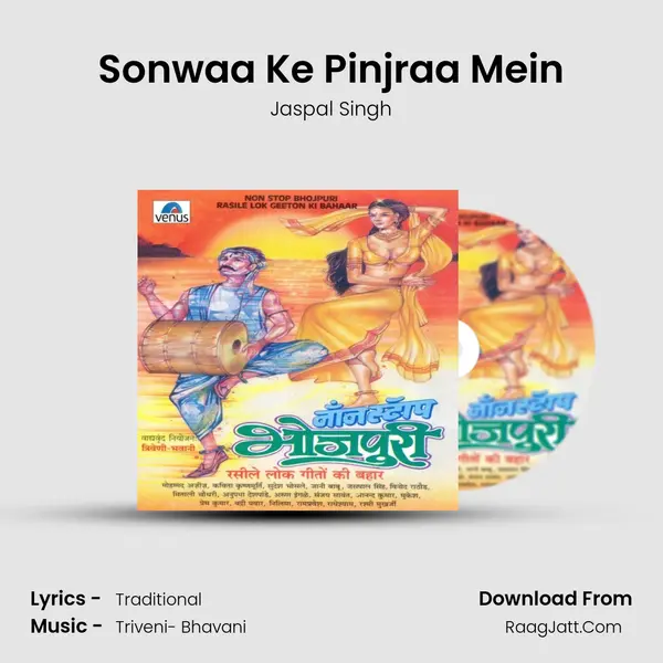 Sonwaa Ke Pinjraa Mein MP3 Song by Jaspal Singh Cover