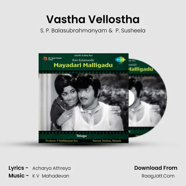 Vastha Vellostha MP3 Song by S. P. Balasubrahmanyam Cover