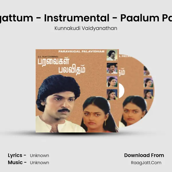 Ponal Pogattum - Instrumental - Paalum Pazhamum MP3 Song by Kunnakudi Vaidyanathan Cover