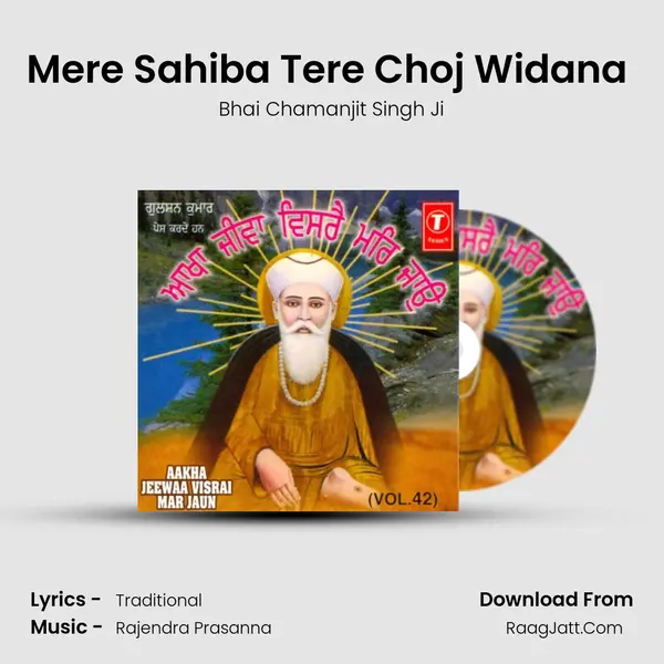 Mere Sahiba Tere Choj Widana (Vyakhya Sahit) MP3 Song by Bhai Chamanjit Singh Ji Cover