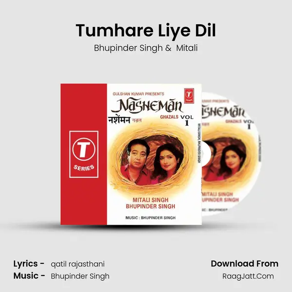 Tumhare Liye Dil MP3 Song by Bhupinder Singh Cover