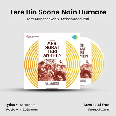 Tere Bin Soone Nain Humare MP3 Song by Lata Mangeshkar Cover