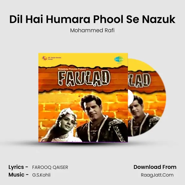 Dil Hai Humara Phool Se Nazuk MP3 Song by Mohammed Rafi Cover
