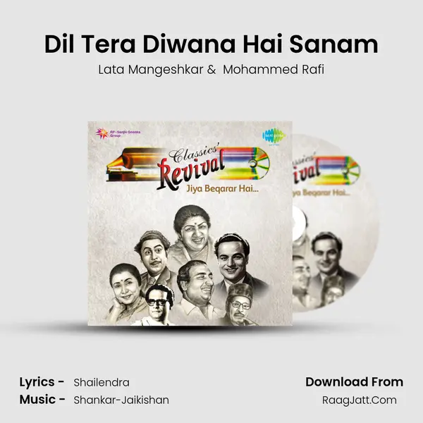 Dil Tera Diwana Hai Sanam Cover