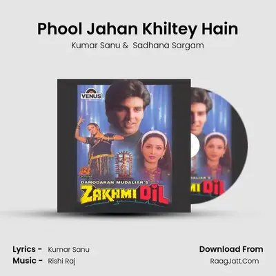 Phool Jahan Khiltey Hain MP3 Song by Kumar Sanu Cover