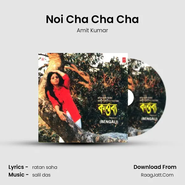 Noi Cha Cha Cha MP3 Song by Amit Kumar Cover