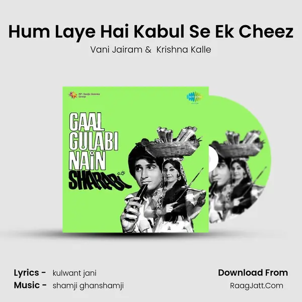 Hum Laye Hai Kabul Se Ek Cheez MP3 Song by Vani Jairam Cover