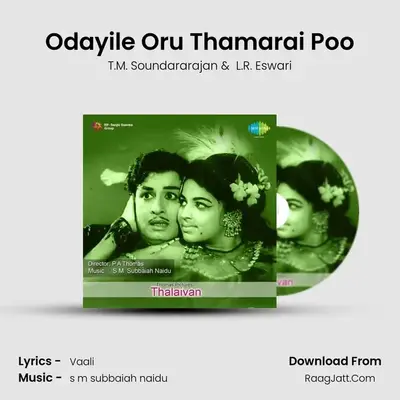Odayile Oru Thamarai Poo MP3 Song by T.M. Soundararajan Cover