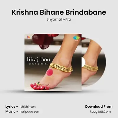 Krishna Bihane Brindabane MP3 Song by Shyamal Mitra Cover