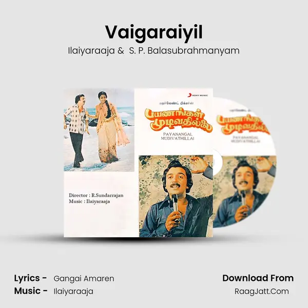 Vaigaraiyil MP3 Song by Ilaiyaraaja Cover