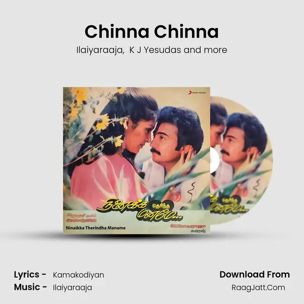 Chinna Chinna MP3 Song by Ilaiyaraaja Cover