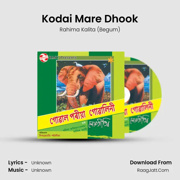 Kodai Mare Dhook MP3 Song by Rahima Kalita (Begum) Cover