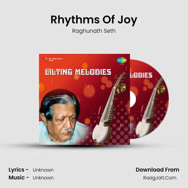 Rhythms Of Joy MP3 Song by Raghunath Seth Cover