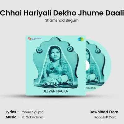 Chhai Hariyali Dekho Jhume Daali mp3 song