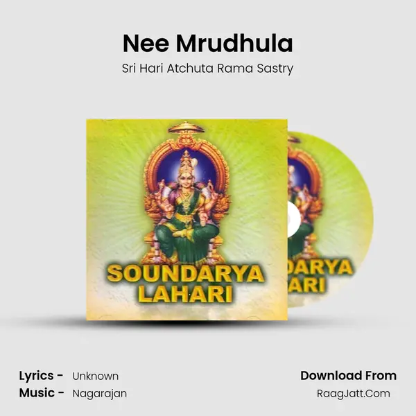 Nee Mrudhula MP3 Song by Sri Hari Atchuta Rama Sastry Cover