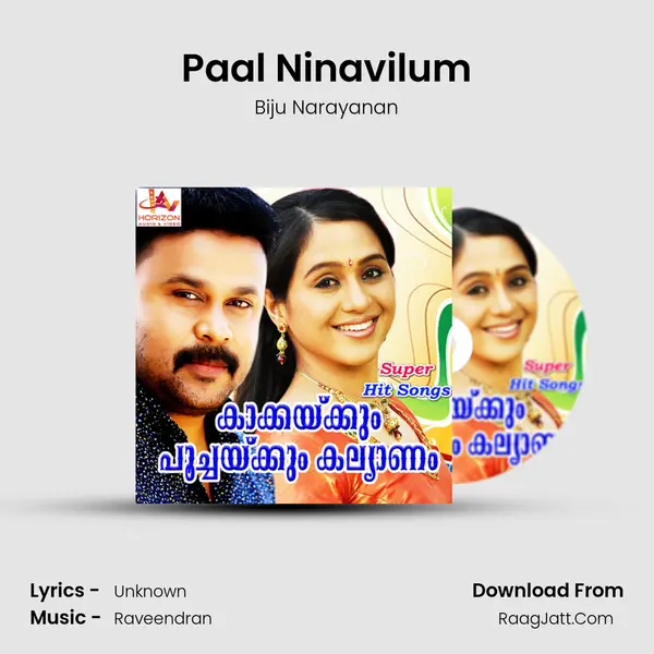 Paal Ninavilum MP3 Song by Biju Narayanan Cover