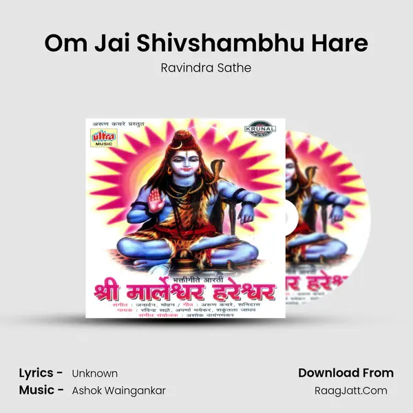 Om Jai Shivshambhu Hare MP3 Song by Ravindra Sathe Cover
