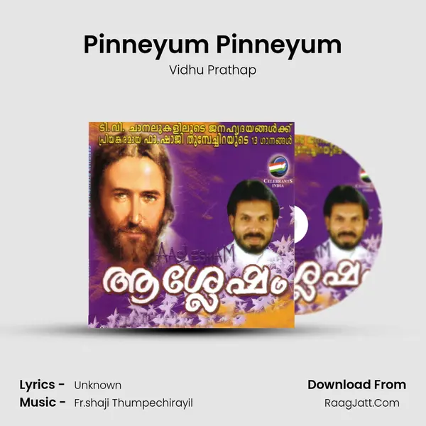 Pinneyum Pinneyum MP3 Song by Vidhu Prathap Cover
