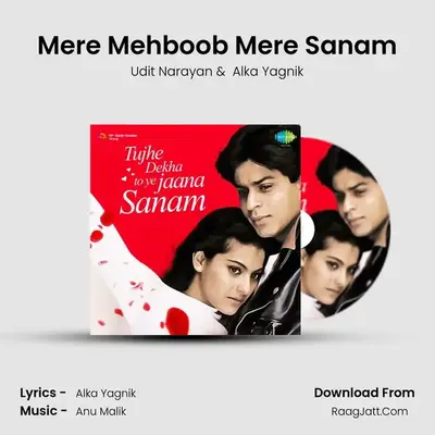 Mere Mehboob Mere Sanam Cover