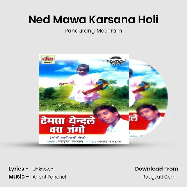 Ned Mawa Karsana Holi MP3 Song by Pandurang Meshram Cover