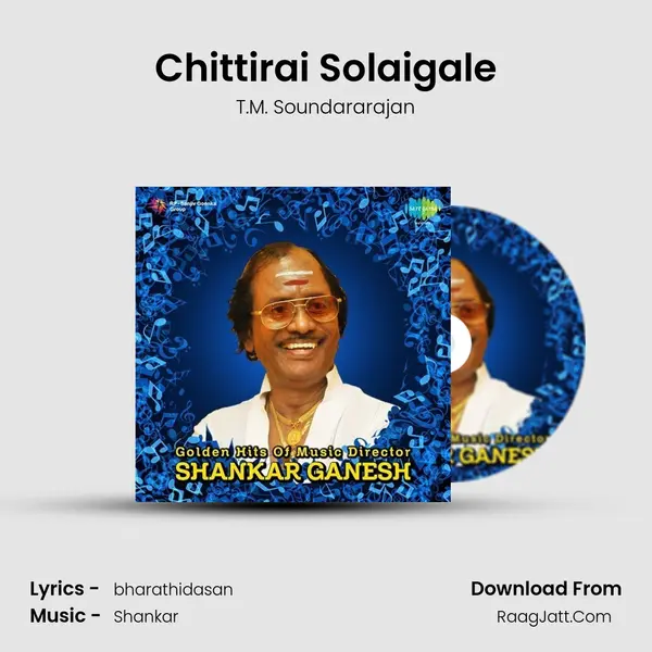 Chittirai Solaigale MP3 Song by T.M. Soundararajan Cover