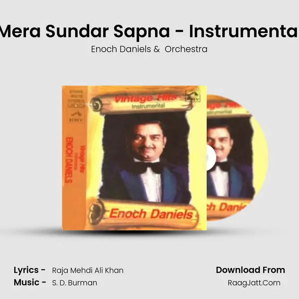 Mera Sundar Sapna - Instrumental Cover