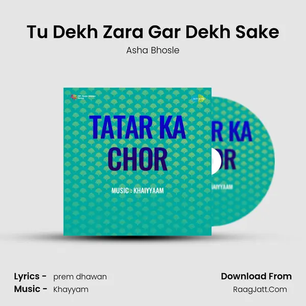 Tu Dekh Zara Gar Dekh Sake MP3 Song by Asha Bhosle Cover