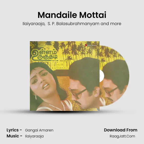 Mandaile Mottai MP3 Song by Ilaiyaraaja Cover