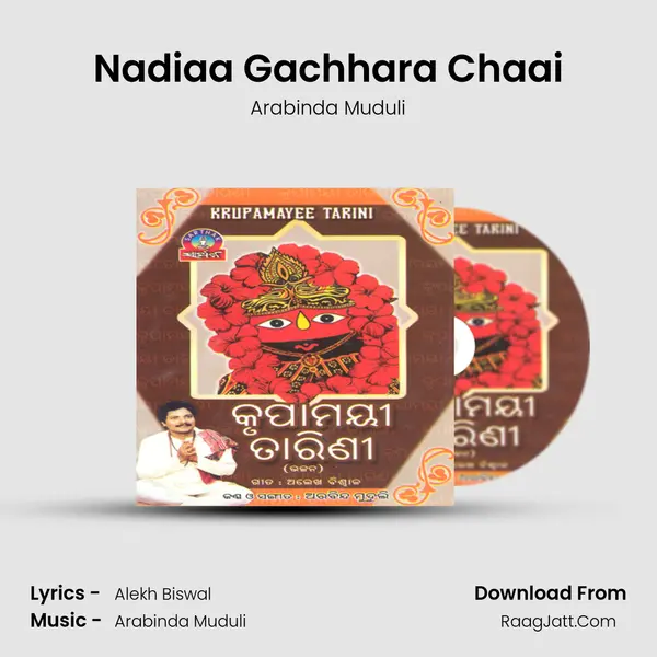 Nadiaa Gachhara Chaai MP3 Song by Arabinda Muduli Cover